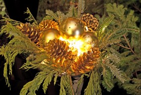 Advent for us is living in Hope for the arrival of the Light of the World